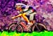 JB1494Voigt_CSCA4